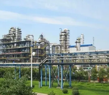 Petrochemical process plant